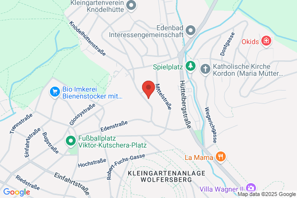 Connex Electronics VertriebsgesmbH