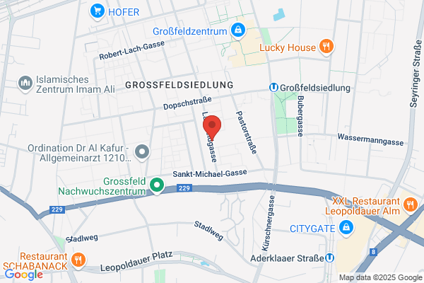 Pecha Gerhard GesmbH