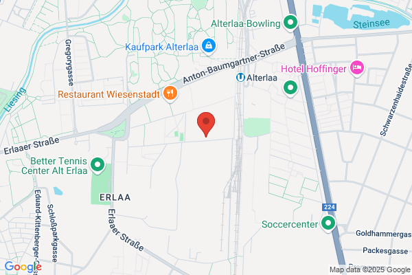 Brandfellner Johann