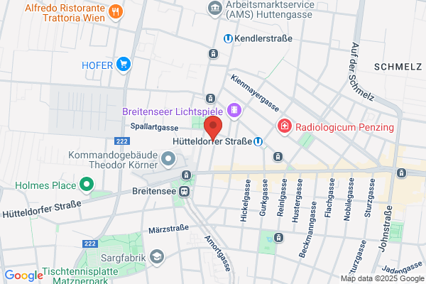 HANN Filmproduktionsges. m.b.H.