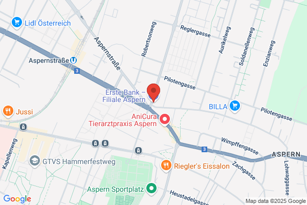 Erste Bank – Filiale Aspern