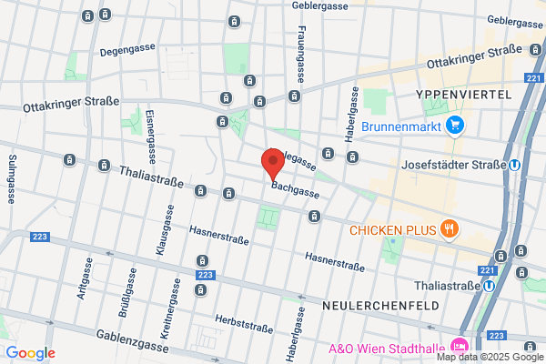 Neide's Haarperfektion