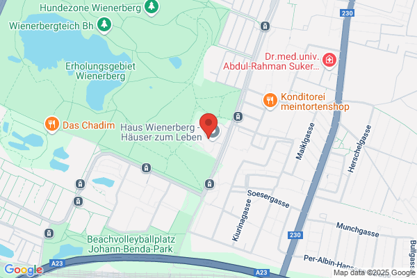 Blizzfrizz - der Coiffeur