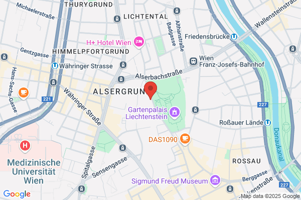 Fussballverein Unplugged Vienna