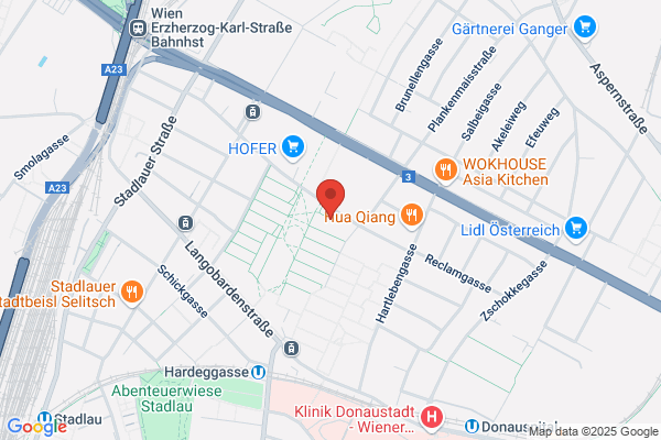 DDr. Petra Titz