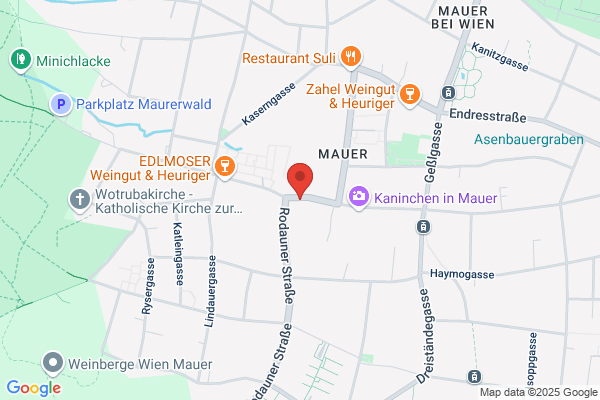Ring in Ring Bayer und Koelbl OEG