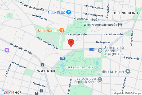 Bergmeister Konrad oUnivProf Dipl-Ing DDr