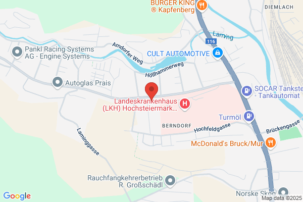 Bergrettung