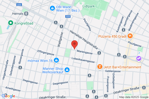 Hlozek Mediaconsulting e.U.