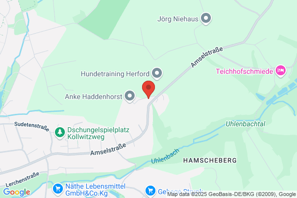 TNS Networking Services GmbH