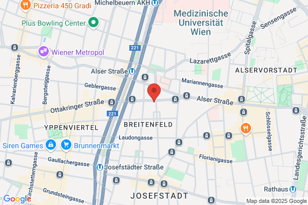Panmusica Austria - Verein zur Foerderung musikalischer Aktivitaeten