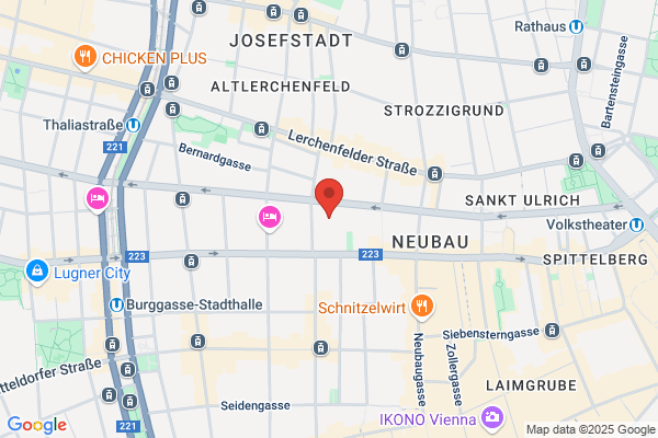 Vienna Voice Consulting