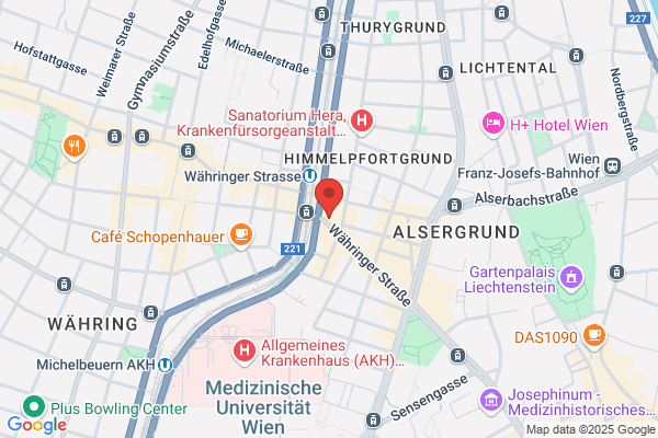 Wiener Salonorchester der Volksoper Veranstaltungs Ges.mbH