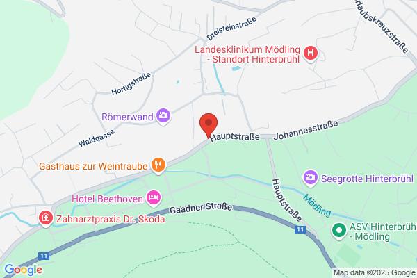 Kronberger KG