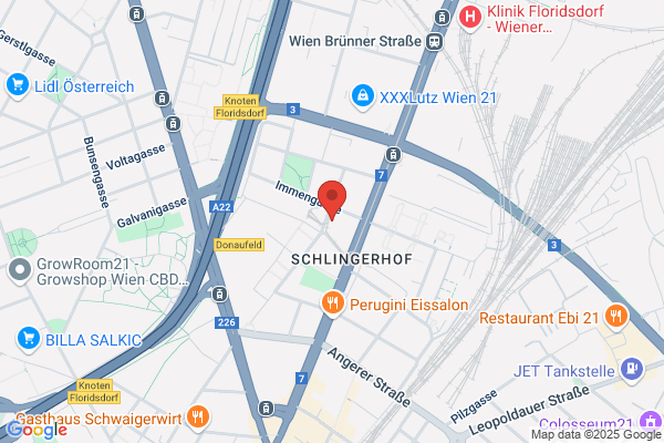 Vienna City Transfer