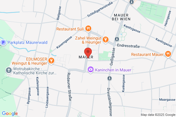 Dipl. Ing. Elisabeth Steinbichler