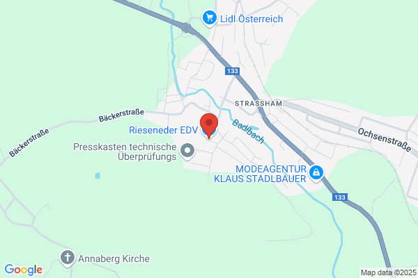 Rieseneder EDV GmbH