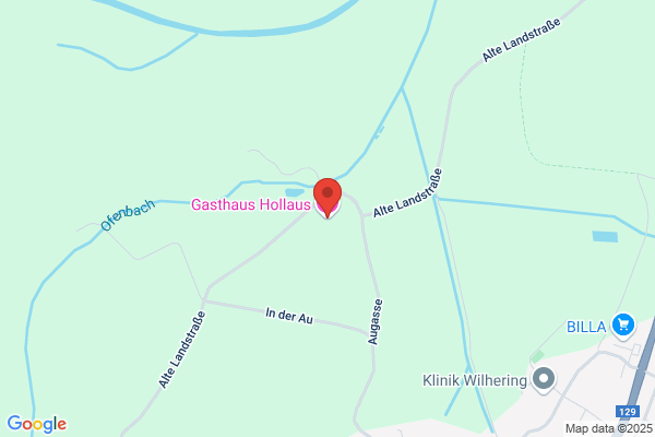 Gasthaus z gruenen Au