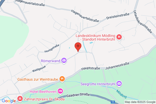 Neurosocks Mödling