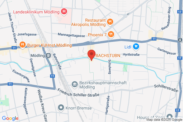 Verein f. Bewegungsspiele