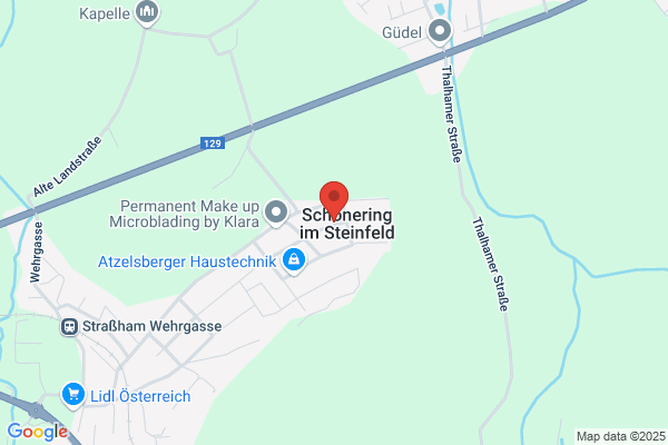 Ing. Guenther Pitsch
