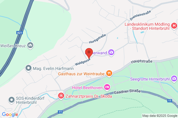 A.M.T. Marketing und Vertriebsservice Ges.m.b.H.