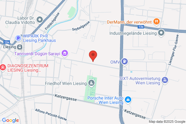 Spedition Schachinger GmbH und Co.KG. Zweigniederlassung Wien