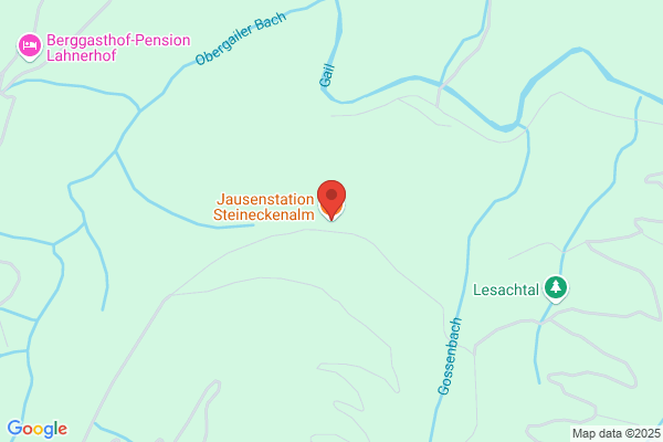 Jausenstation Steineckenalm