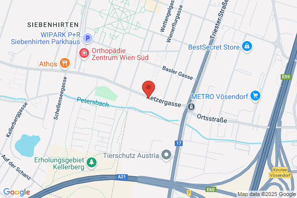 Wiener Schnitzlplatz'l