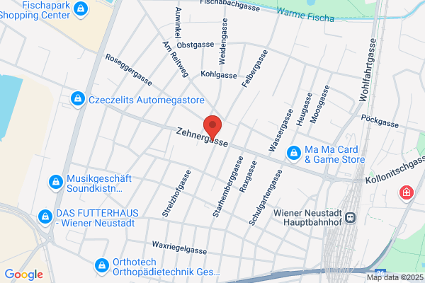 Felber Werner Prof Mag