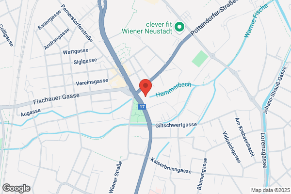 Wüstenrot Finanzberaterin: Bianca Reiter