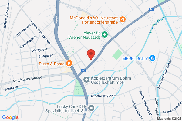 Wiener Neustaedter Nachrichten NOe Rundschau