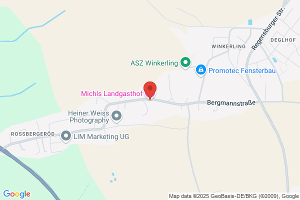 Gasthaus zum Michlwirt - Michael Fink