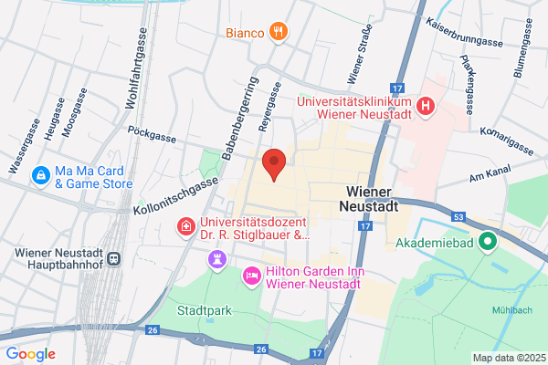 Dorotheum GmbH & Co KG - Wr Neustadt