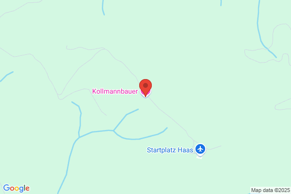 Wilhelm Kaufmann