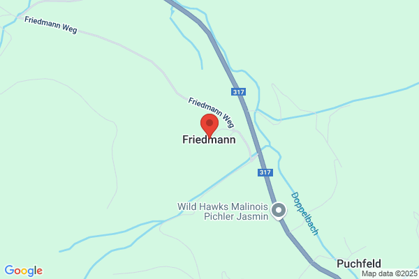 Johann Friedmann