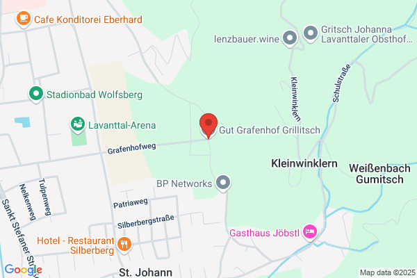 Gut Grafenhof Grillitsch