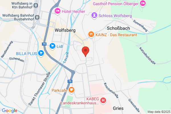Sozialdemokratische Partei Oesterreichs
