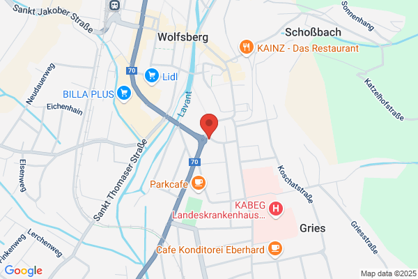 Lebenshilfe Kaernten Gesellschaft fuer Behinderte