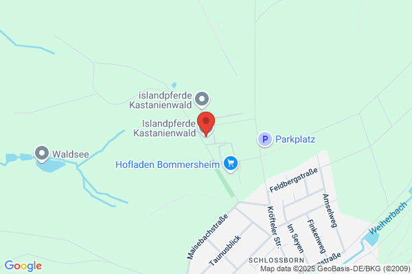Islandpferdeverein Sida