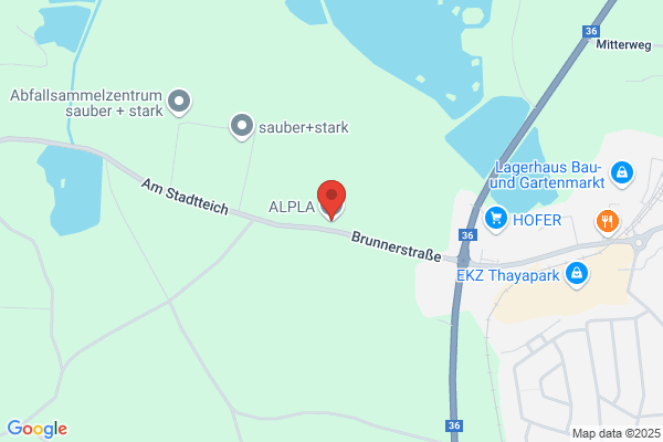 Pöppel Alfred