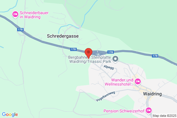 Pension Berta & Restaurant Franz - Waidring