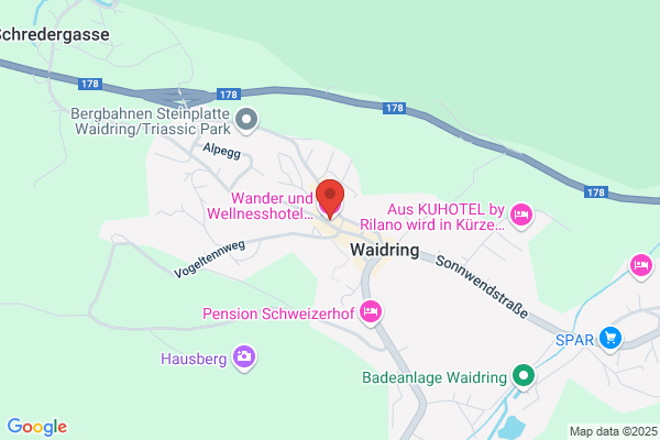 Hotel Waidringerhof