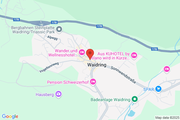 Waidringer Verkehrsbuero Ges.mbH