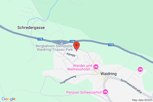 Bergbahnen-Steinplatte Waidring