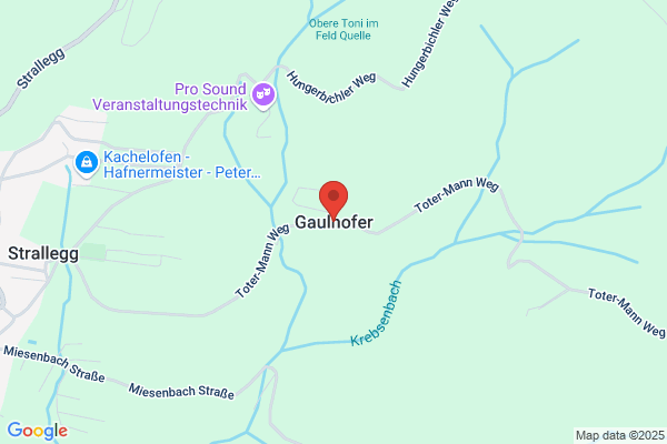 Anton Gaulhofer