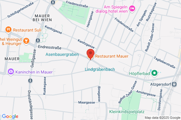 China-Restaurant Atzgersdorf, Mauer