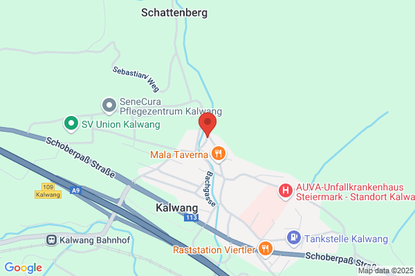 Die Malerei Leitgeb
