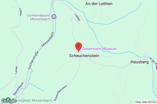 Gauermann Museum