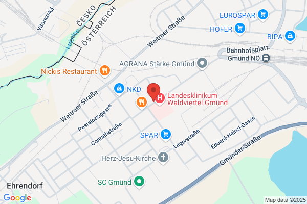 Vischer Hans Martin Prim Dr